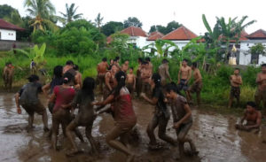 Tradisi Megoak-goakan Buleleng