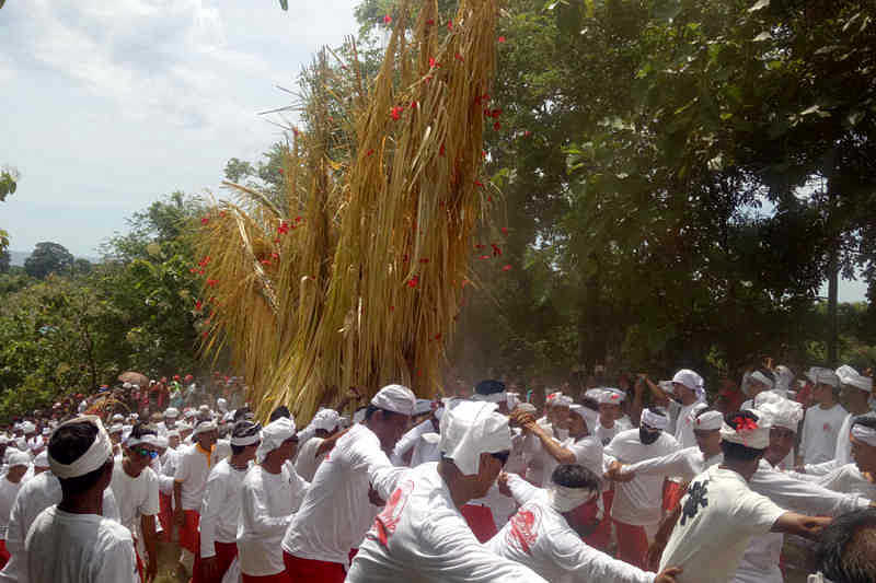 Tradisi Ngusaba Bukakak