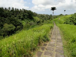Trekking di Ubud