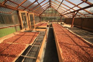 Uforia Chocolate Factory Bali