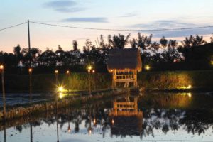 Umanyar Restaurant Bali