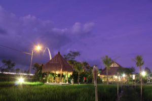 Umanyar Restaurant Bali