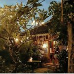Warung Dandelion Canggu