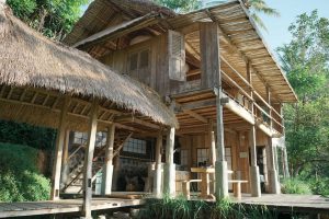 Zen Hideaway Swing Ubud