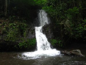 air terjun paling indah bali
