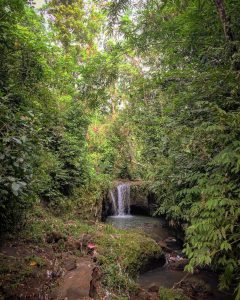 Air Terjun Tirta Payuk