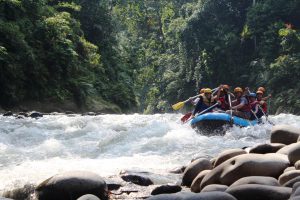 arung jeram sungai ayung