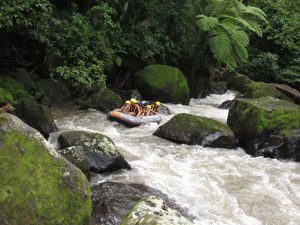 arung jeram sungai ayung