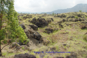 destinasi-wisata-kintamani-gunung-batur