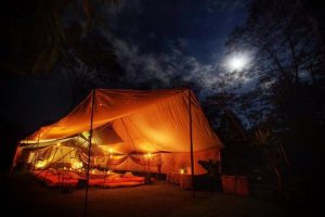 glamping mewah di bali
