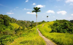 hotel murah dekat campuhan ridge walk