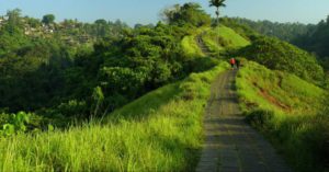 hotel murah dekat campuhan ridge walk