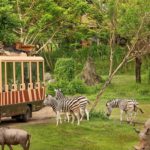 kebun binatang di Bali