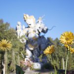 kebun raya bedugul bali