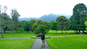 kebun raya bedugul bali