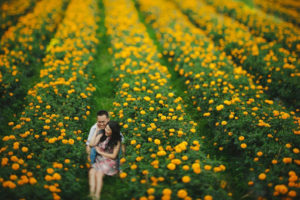 Ladang Bunga Marigold Bali
