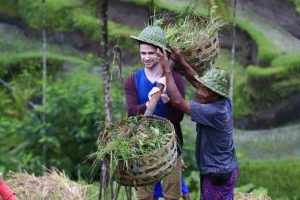 terasering sawah tegalalang