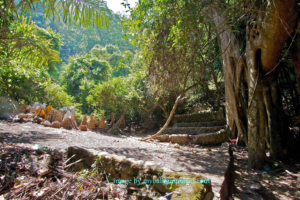 trunyan-kintamani-bali