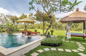 vila padi menari ubud-