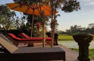 vila padi menari ubud-